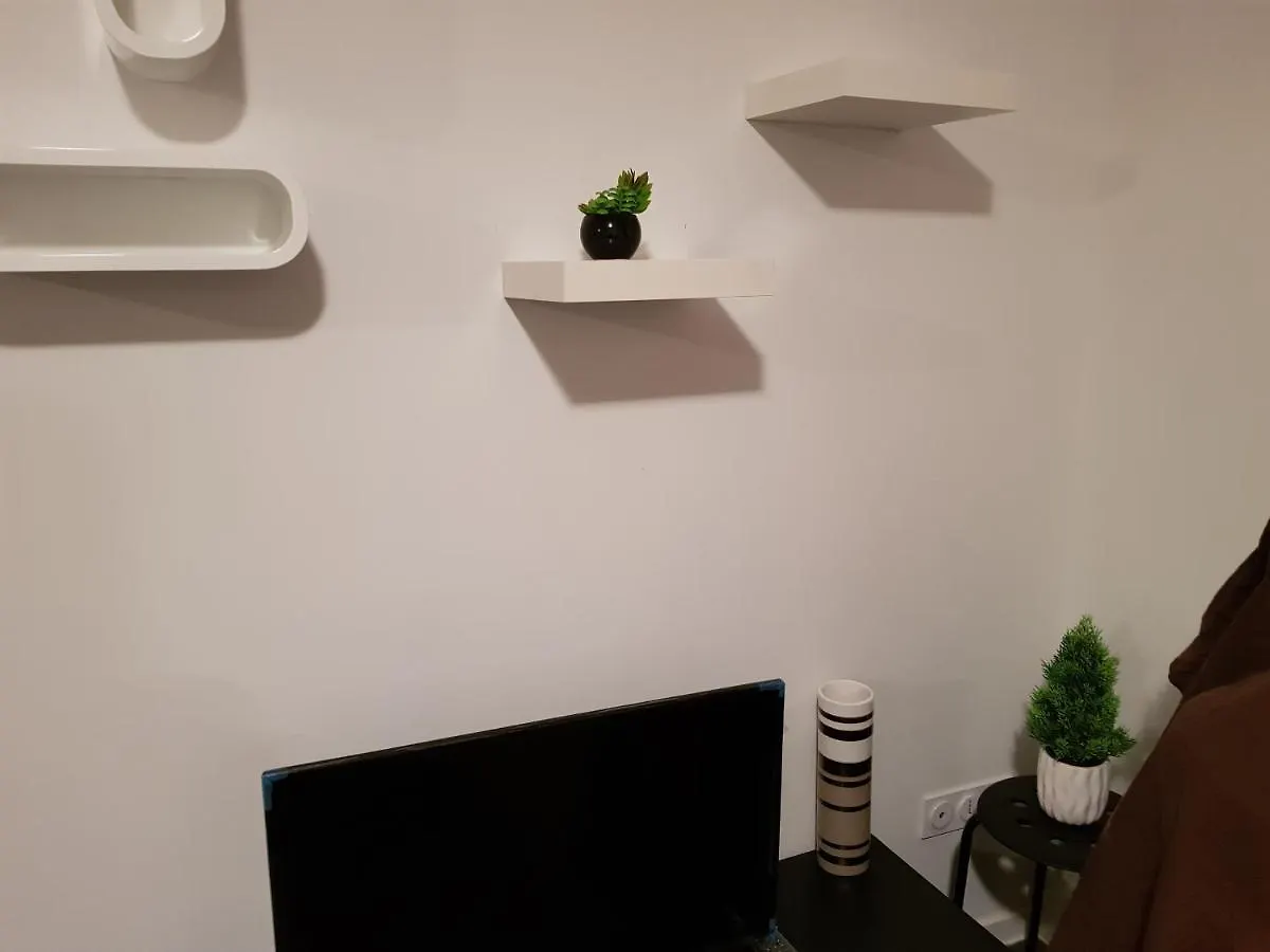 Appartement Moderne Roanne France